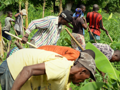 Artibonite, agriculture