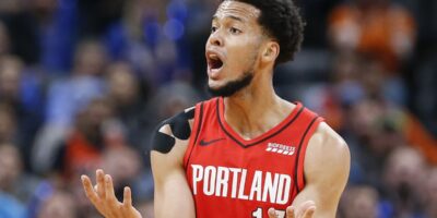 NBA, Skal Labissière