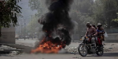 Bwa kale haiti