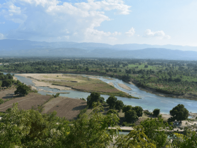 Gangs are destroying rice plantations in Artibonite